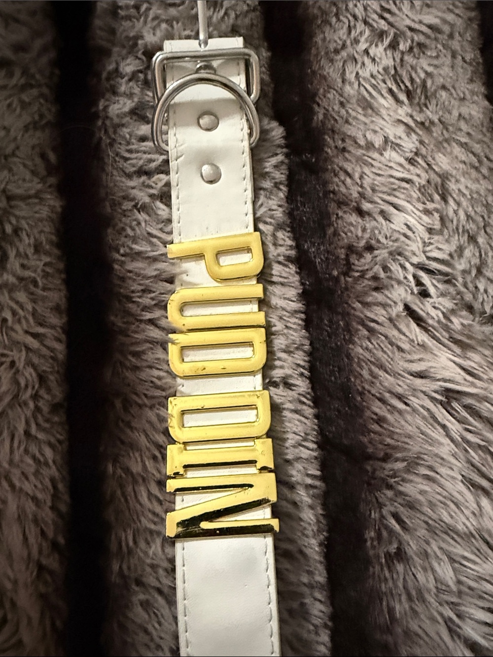 Harley Quinn puddin choker